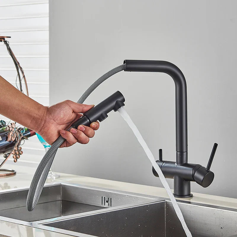 Stainless Steel Filter Faucet