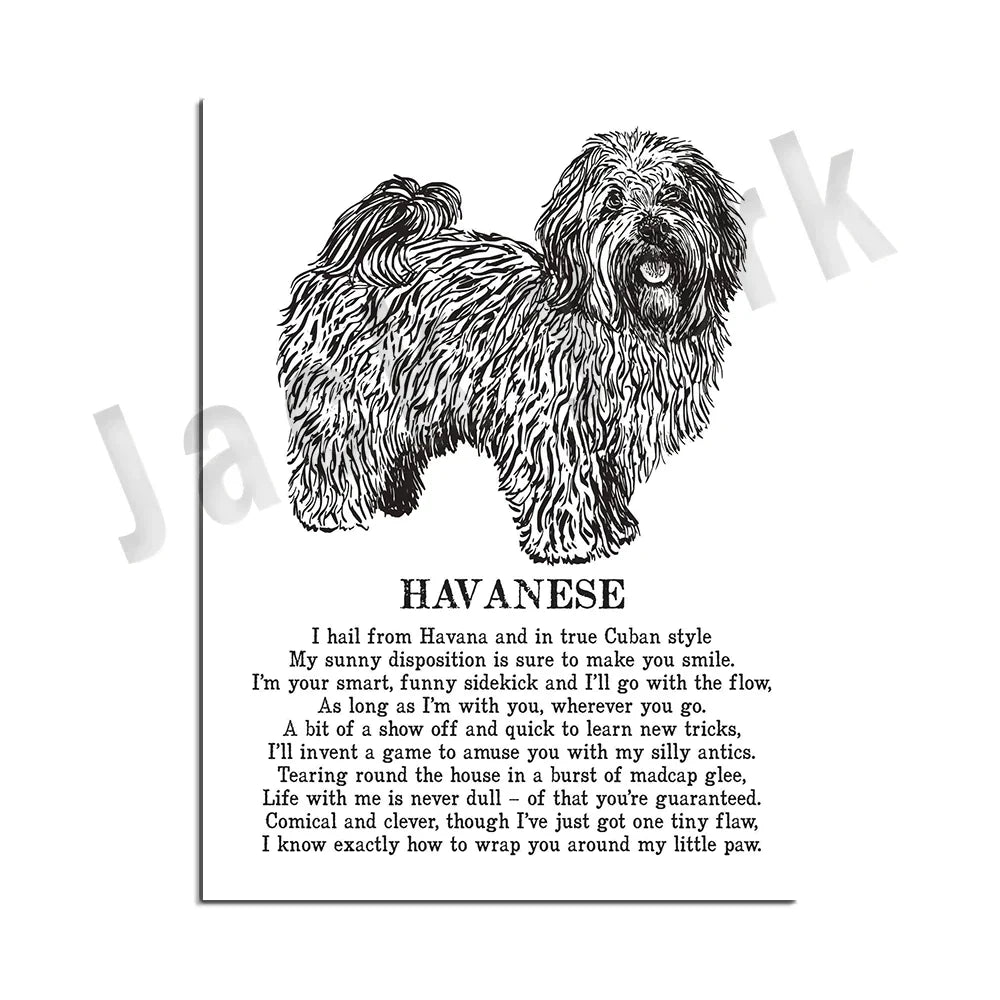 DecorBites™ Dog Breed Poster featuring Rhodesian Ridgeback, Havanese, and More