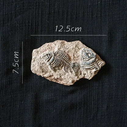 DecorBites™ Fossil Series Art Refrigerator Stickers: Fish Bone Beetle Marine Insect Specimen