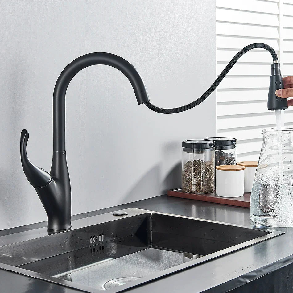 Black Pull-Out Kitchen Faucet Dual-Function Spout