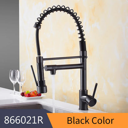 DecorBites™ Gold Spring Spout Kitchen Faucet - Single Pull Out Mixer Tap
