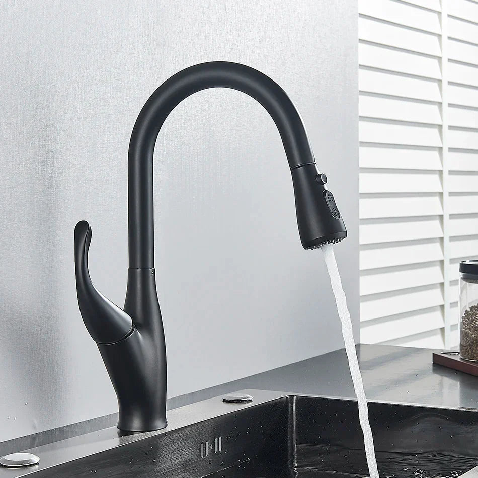 Black Pull-Out Kitchen Faucet Dual-Function Spout