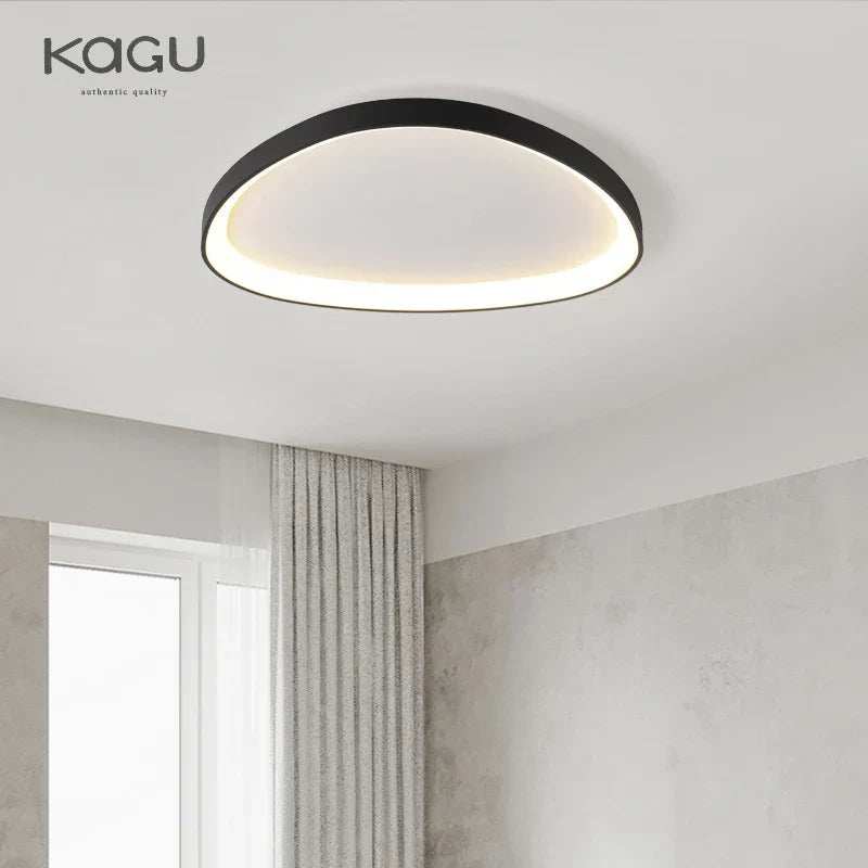 Modern LED Ceiling Fixture