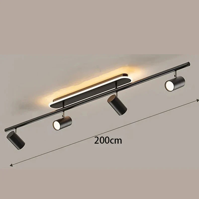 Gold Finish Ceiling Light