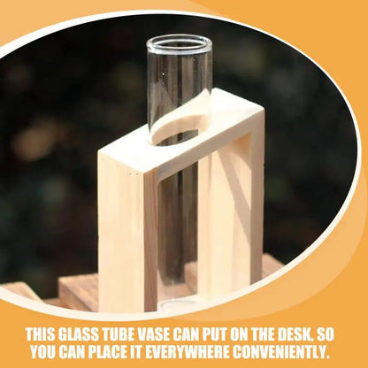 Clear Glass Test Tube Vases for Plants