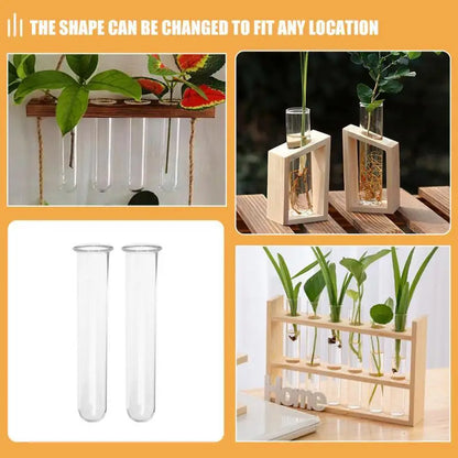 Clear Glass Test Tube Vases for Plants