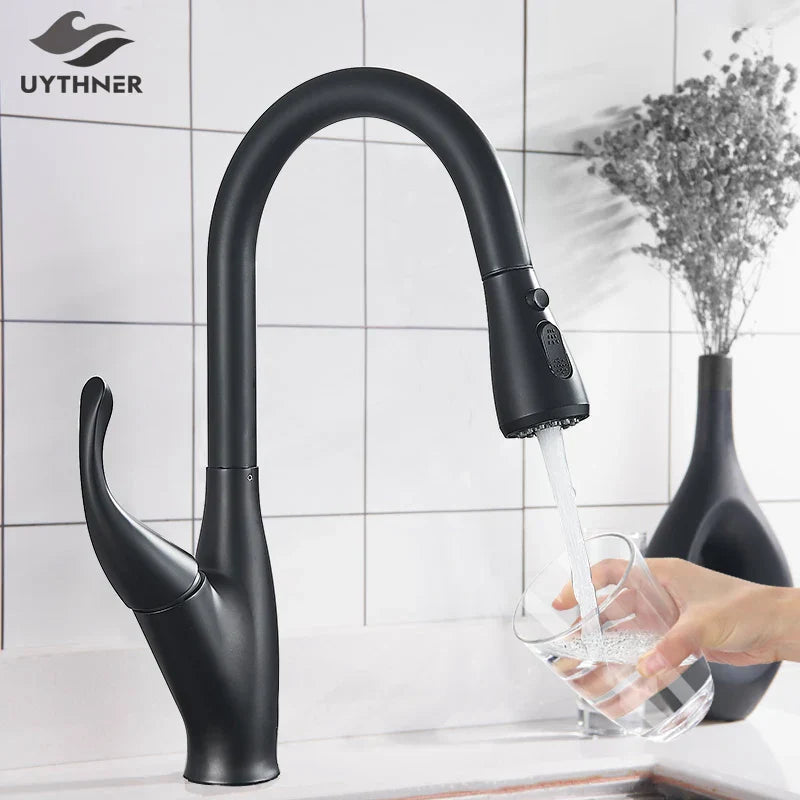 Black Pull-Out Kitchen Faucet Dual-Function Spout