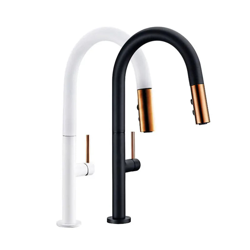 Black Kitchen Faucet Pull Out Spout