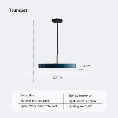 DecorBites™ LED Study Disc Pendant Light for Bedroom Living Room Office Decor