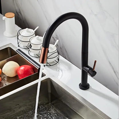 Black Kitchen Faucet Pull Out Spout