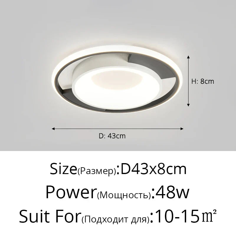 Modern Remote Ceiling Lamp