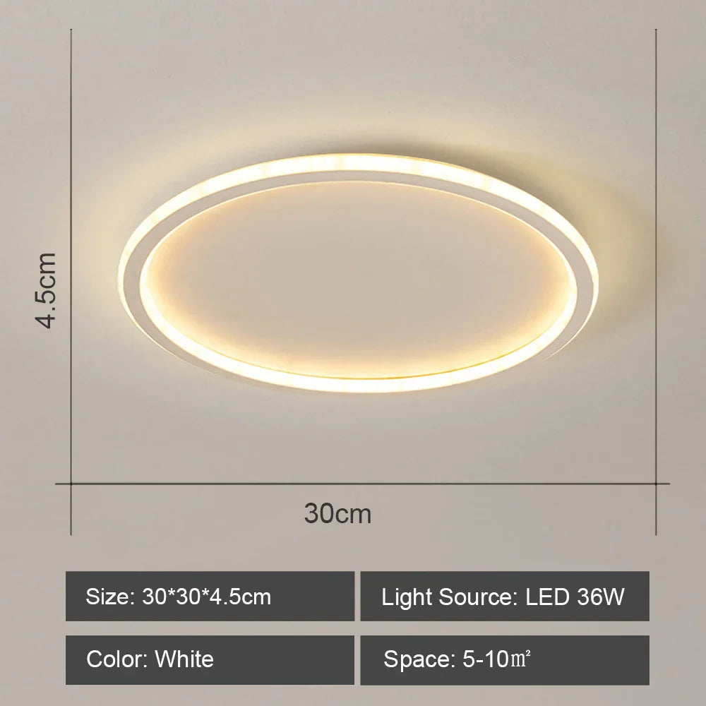 DecorBites™ LED Ceiling Light for Modern Living Room Bedroom Lighting