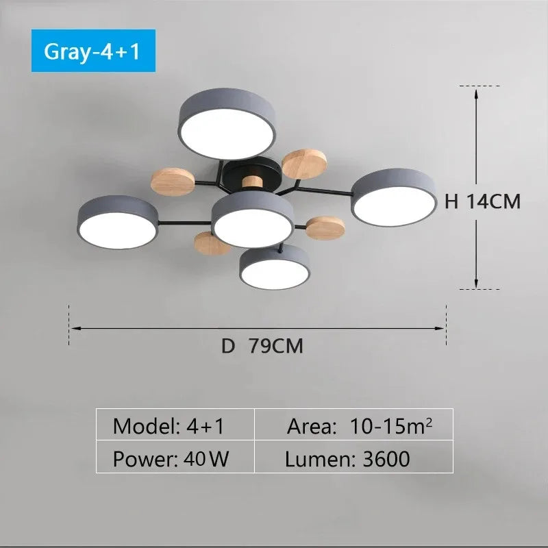 Large LED Ceiling Light Fixture