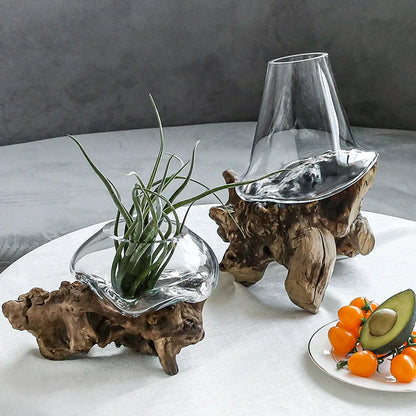 DecorBites™ Glass Bonsai Vase Hydroponic Pots Art Wooden Frame Home Decoration