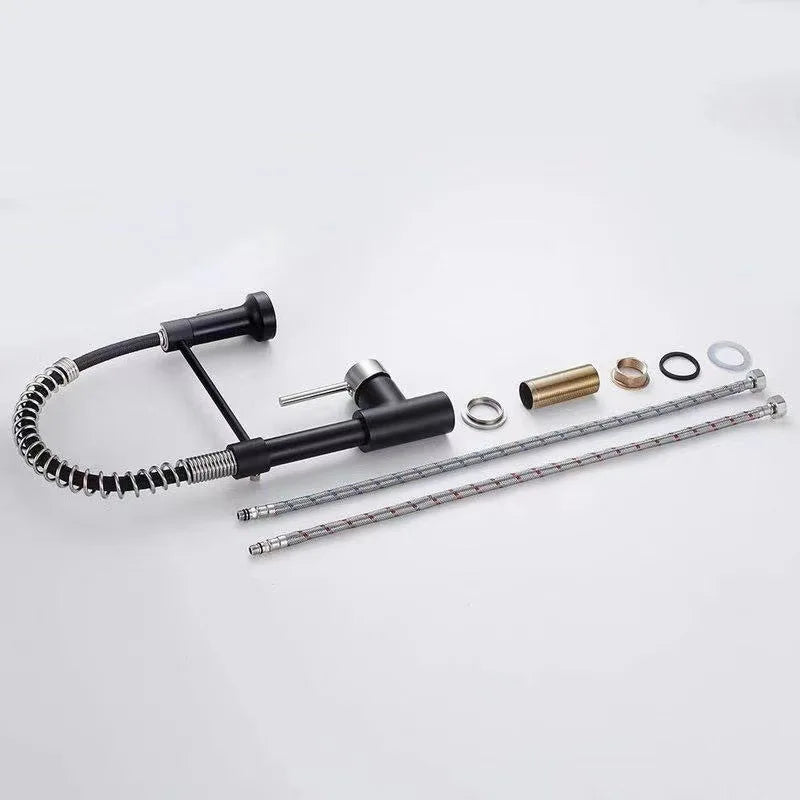 Brushed Nickel Kitchen Faucet Flexible Spout