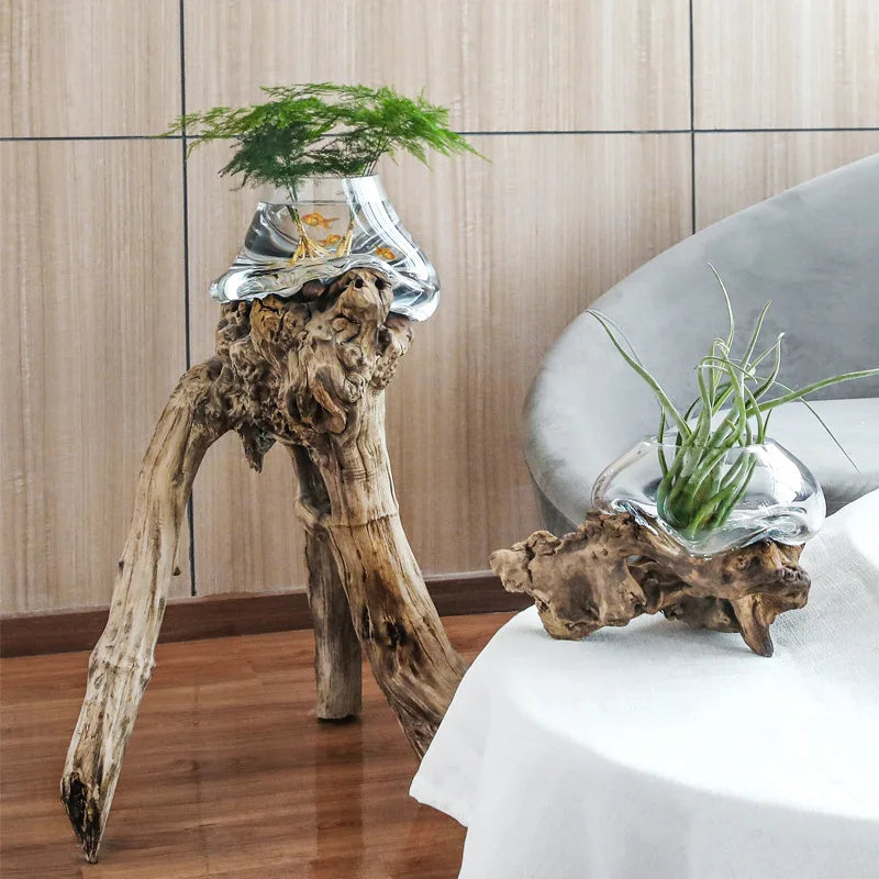 DecorBites™ Glass Bonsai Vase Hydroponic Pots Art Wooden Frame Home Decoration