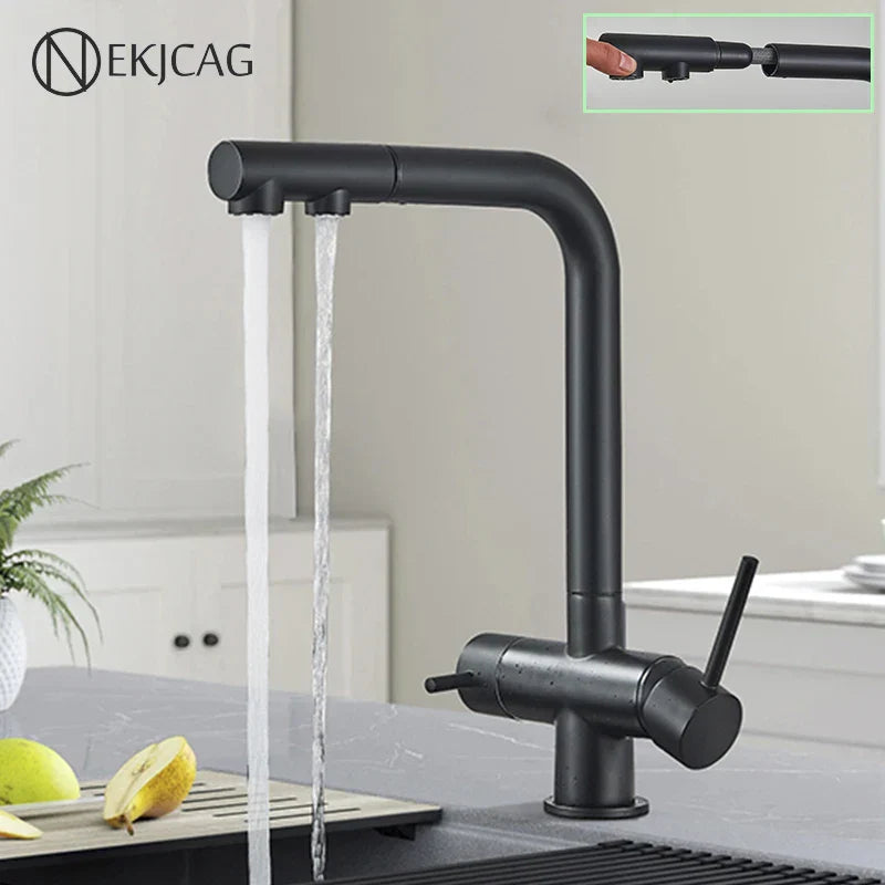 Stainless Steel Filter Faucet