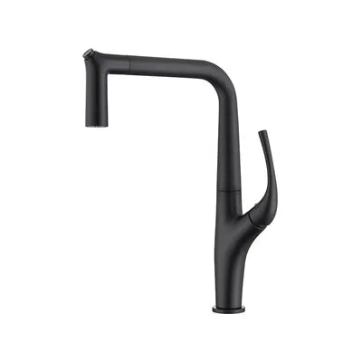 DecorBites™ Black 3 Way Kitchen Faucet with Water Filter, Deck Mounted Brass Sink Mixer