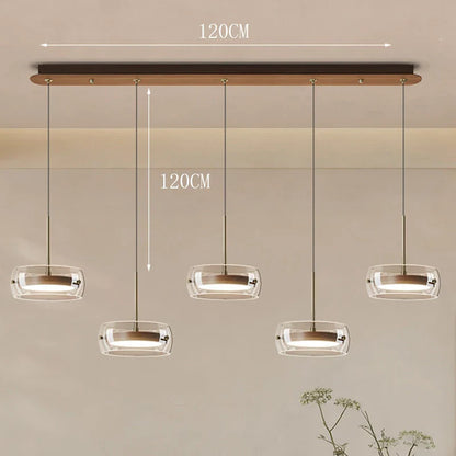 Modern Glass Ring Pendant Light in Iron