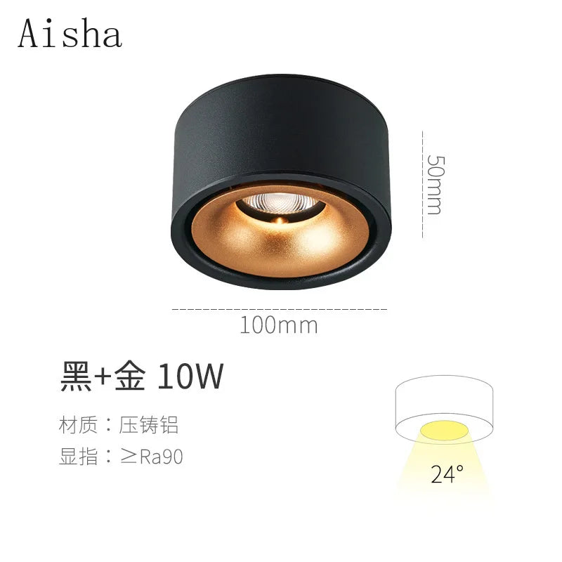 Aluminum Spotlight Ceiling Lamp