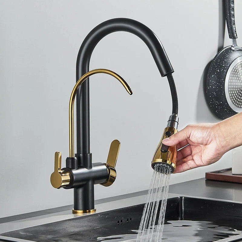 DecorBites™ Gourmet Pull Out Black Gold Kitchen Faucet with Sprayer Mixer Swivel Sink Tap