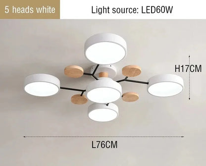 Large LED Ceiling Light Fixture
