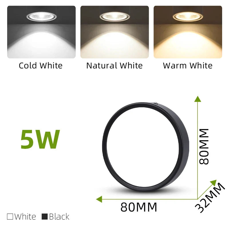 DecorBites™ LED Ceiling Lamp 220V Indoor Lighting Fixture for Kitchen Room & Platform