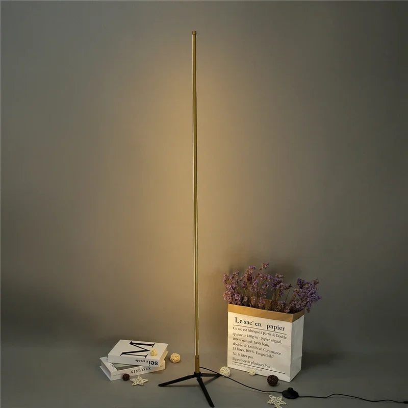 Gold Minimalist Floor Lamp
