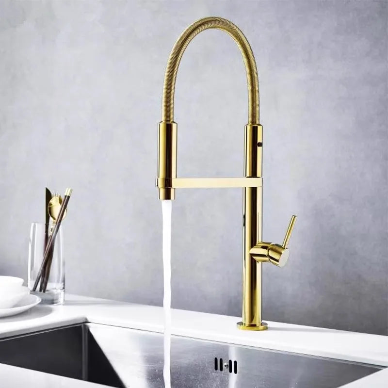 Gold Brass Spring Spout Faucet