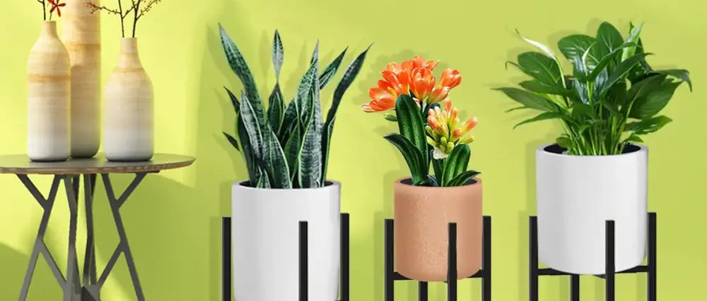 DecorBites adjustable black metal plant stand holding three white and terracotta pots ranging 12-16 inches