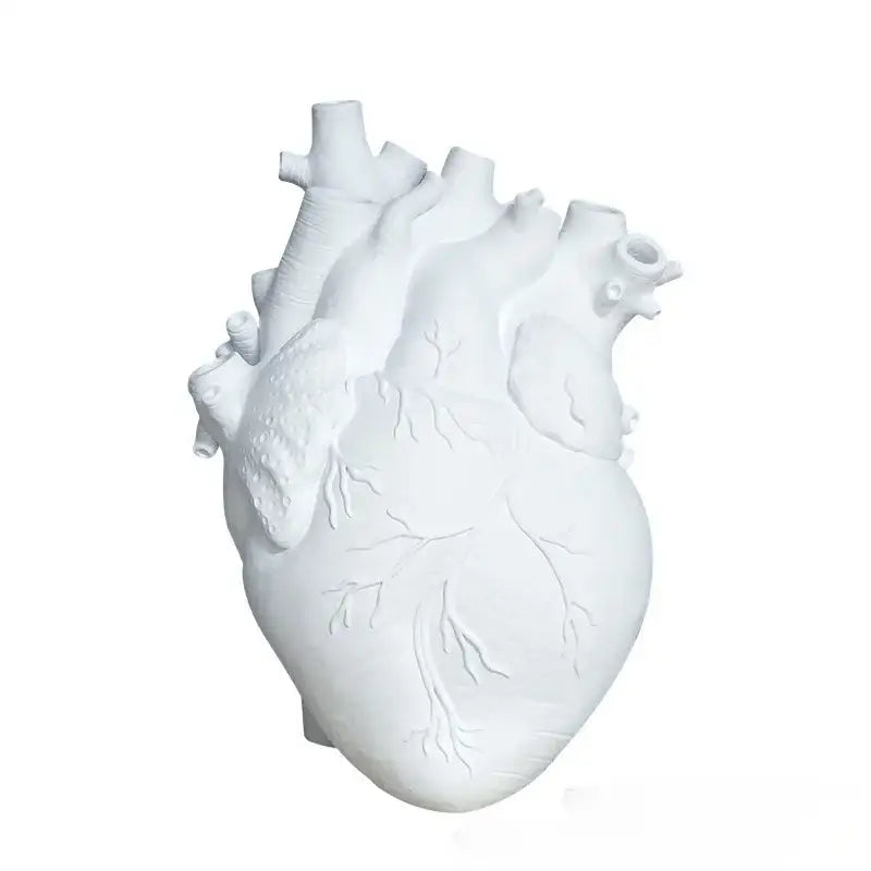 Anatomical white ceramic heart shape resin vase for living room decorbites heart shape decorative use