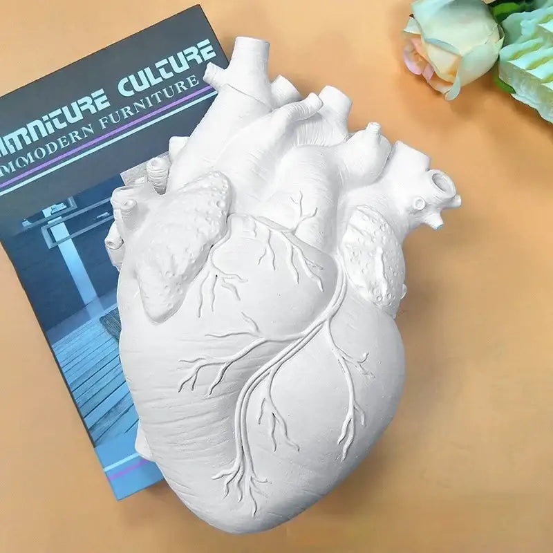 White ceramic heart shape vase with anatomically detailed design for living room decorbites heart shape decor