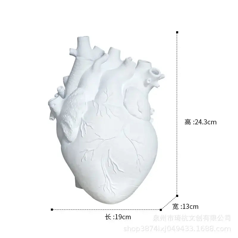 Anatomical white ceramic heart shape vase with detailed ridges and vessels ideal for living room decorbites heart shape decor