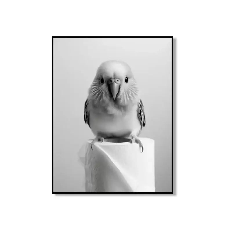 Black and white framed decorbites bathroom wall art featuring a cute animal canvas of a budgerigar on a toilet paper roll
