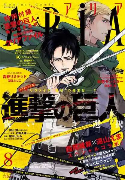 Decorbites attack on titan final season anime poster featuring two characters in green military uniforms with swords