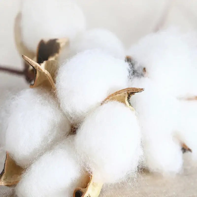 Plush white cotton bolls with dried brown husks on autumnal leaf cream brushed cotton duvet cover set bedroom