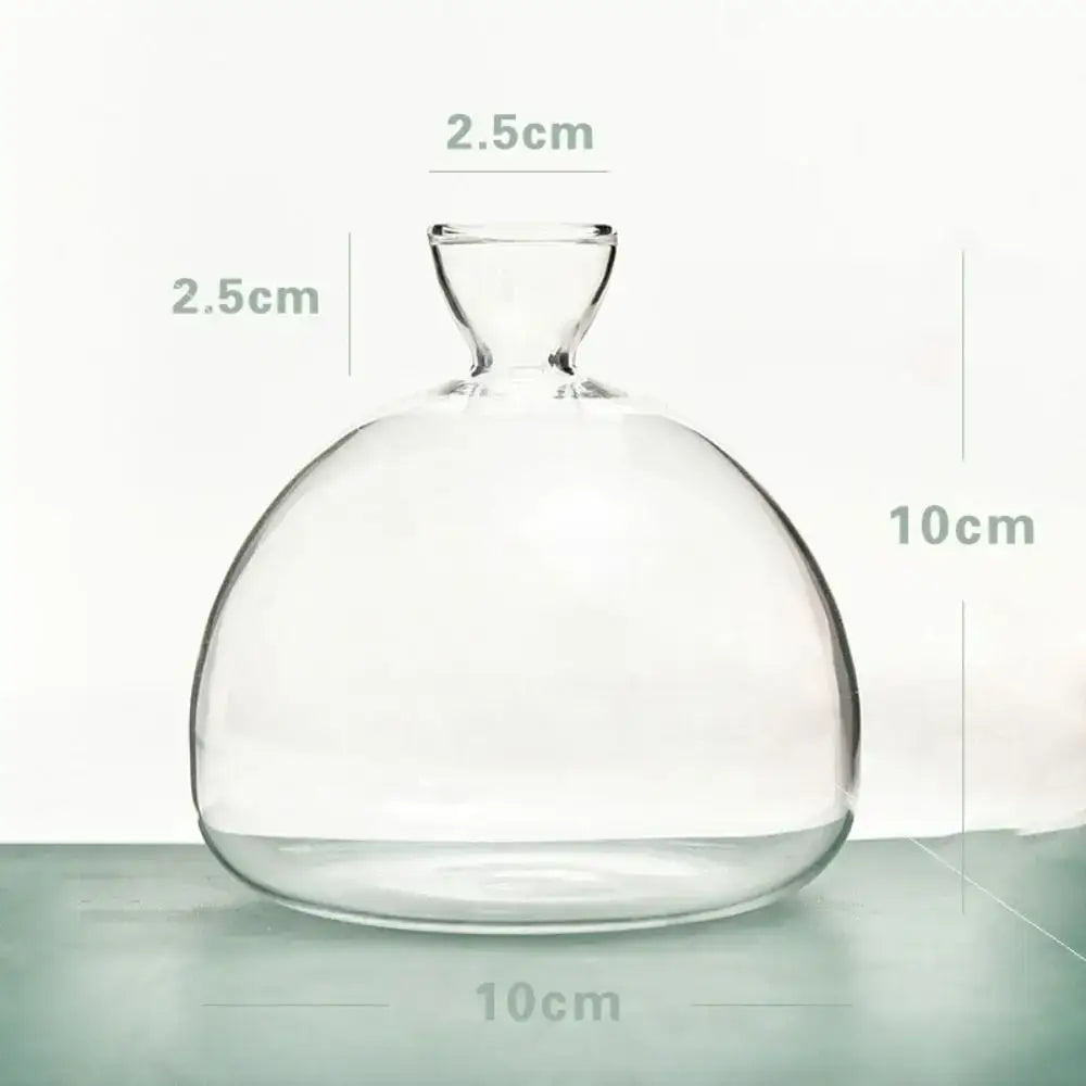 Clear glass hydroponic vase with rounded body and narrow neck for avocado seed starter use