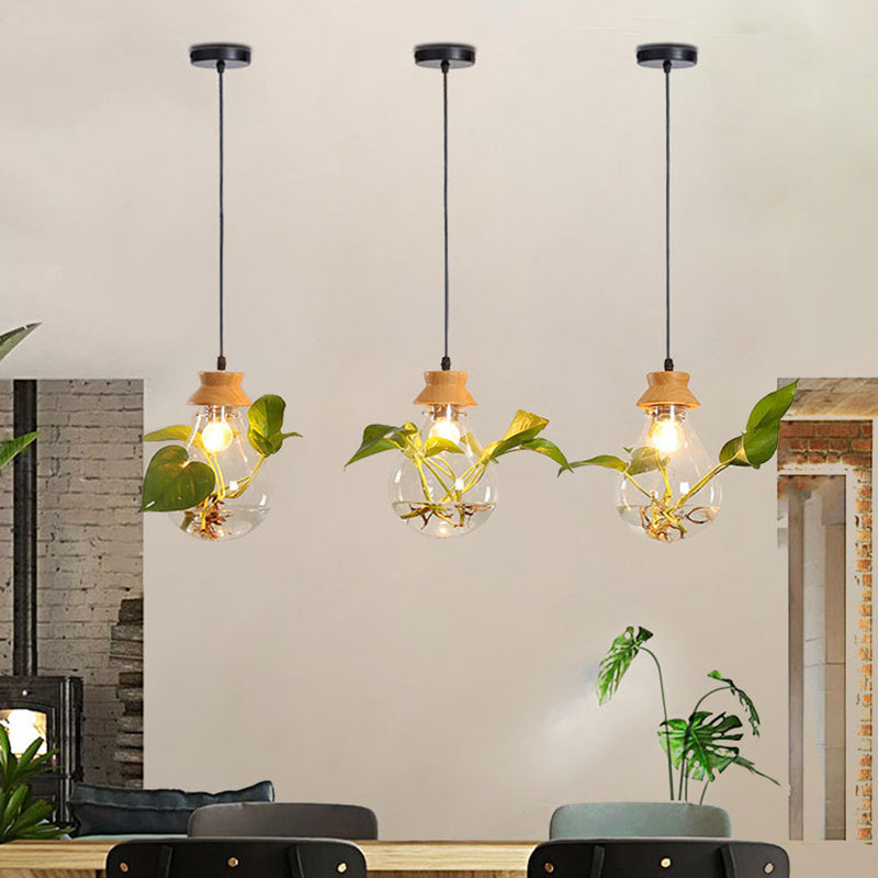 Aquarium Glass Chandelier