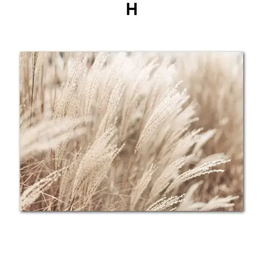 Beige-toned canvas wall art by DecorBites featuring soft-focus beach landscape grasses for elegant home decor