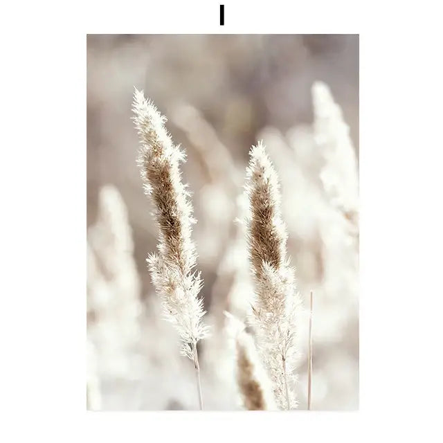 Soft feathery pampas grass plumes in warm beige and cream tones on DecorBites™ beach landscape canvas wall art home decor