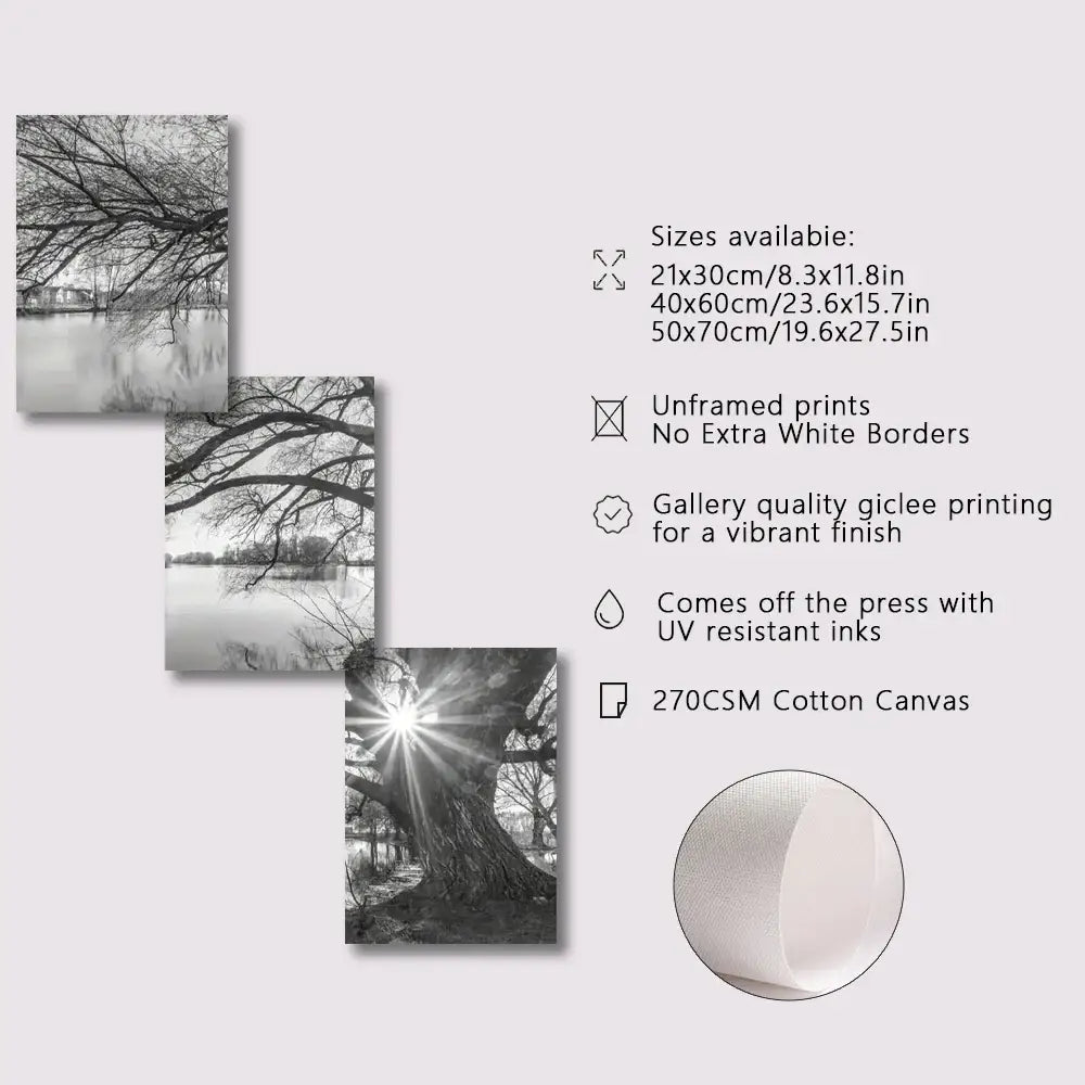 Set of three black-and-white tree lake sunset giclee prints on 270gsm cotton canvas by decorbites