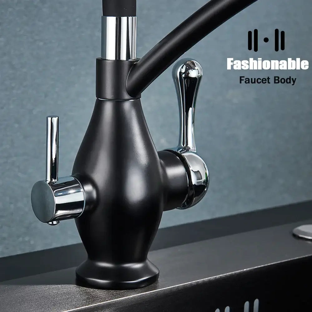 Black and chrome dual spout kitchen faucet with filter nozzle featuring a dual spout black matte finish and chrome handles decorbites dual spout