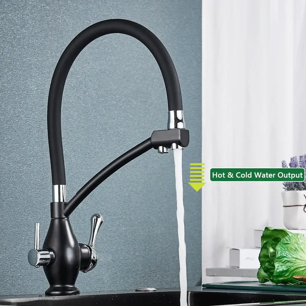 Black and chrome decorbites dual spout kitchen faucet with matte black finish, flexible gooseneck, and filter nozzle