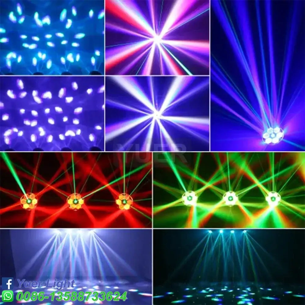 Black bee eye laser moving head spotlight with colorful blue red green and purple laser beams for party room use