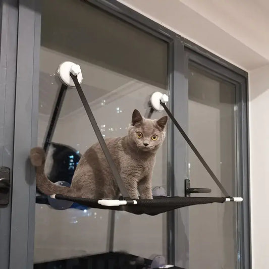 Black cat window suction hanging bed made of fabric with white suction cups and reinforced ends for living room use
