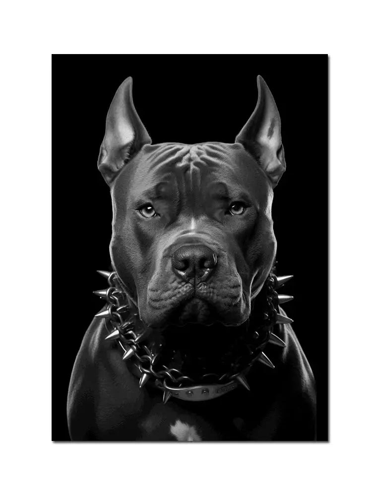 Black-and-white portrait print of a muscular pit bull wearing a spiked collar on decorbites™ black doberman dog canvas poster art
