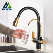 Black and gold pull out filter kitchen faucet with curved spout and water filter for efficient kitchen use