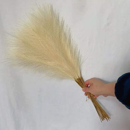 A hand holds a bundle of beige and white fluffy pampas grass for boho living room decor by decorbites