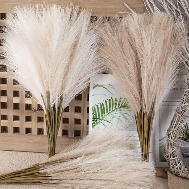 Three tall boho white and beige fluffy pampas grass stems with soft plumes for living room decor by decorbites