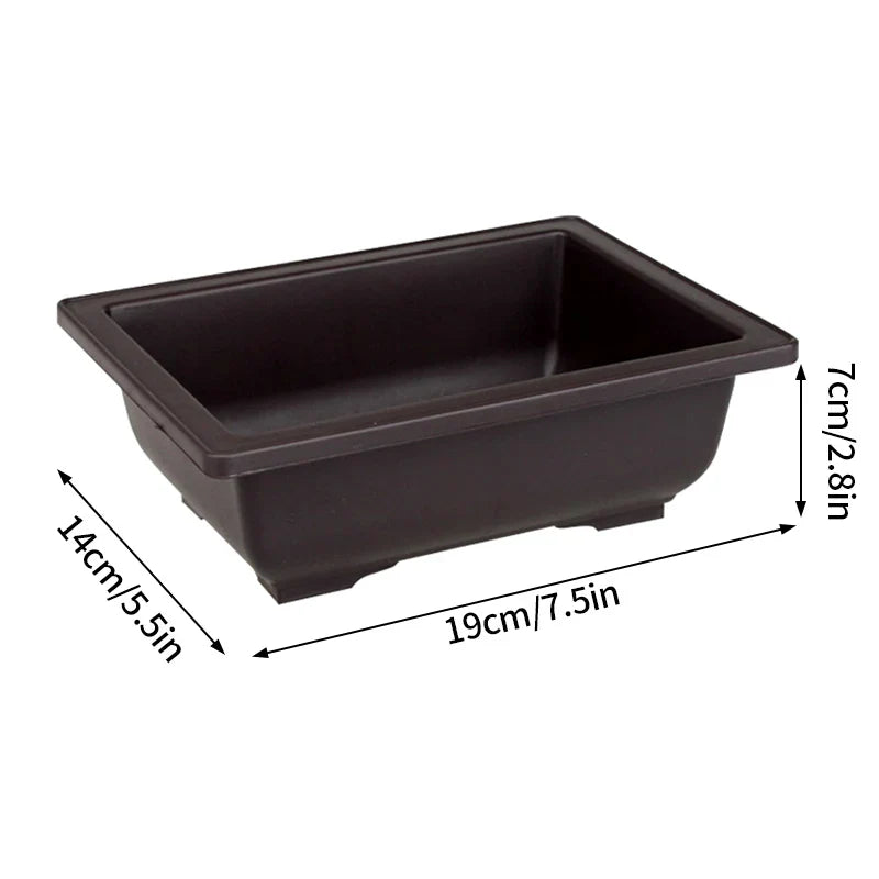 Dark brown rectangular plastic bonsai plant pot with rounded corners and shallow wide interior para plantas succulents
